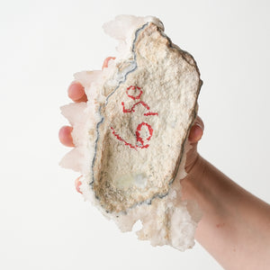 Mangano Calcite Cluster