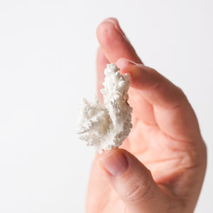 Barite Pseudomorph after Witherite