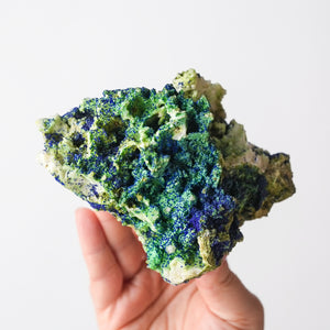 Azurite on Bayldonite