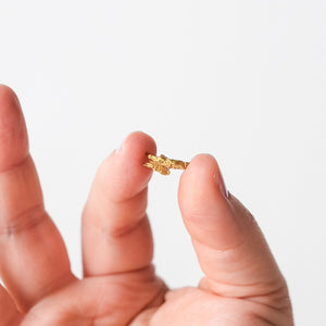 Gold Nugget from Virginia