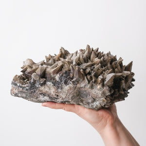 Large Dogtooth Calcite