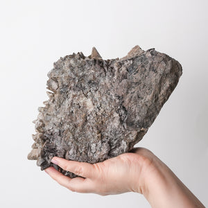 Large Dogtooth Calcite