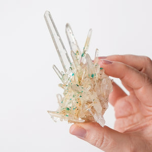 Quartz with Veszelyte