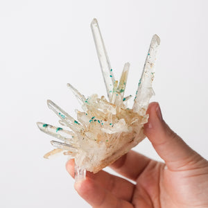 Quartz with Veszelyte