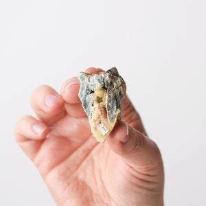 Crandallite and Variscite