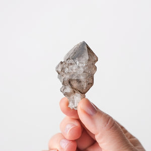 Elestial Smoky Quartz Scepter