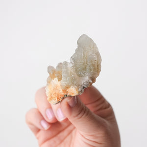 Calcite with Micropyrite