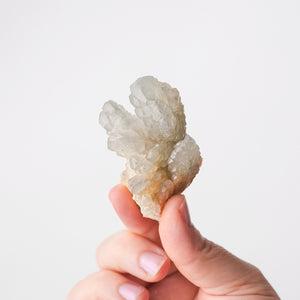 Calcite with Micropyrite