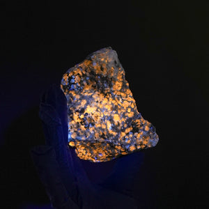 Sodalite var. Hackmanite