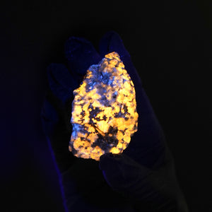 Sodalite var. Hackmanite