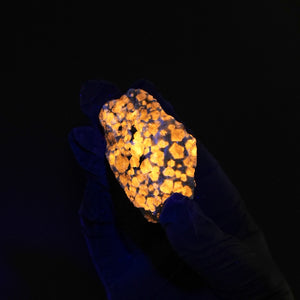 Sodalite var. Hackmanite