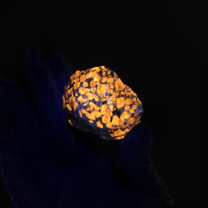 Sodalite var. Hackmanite