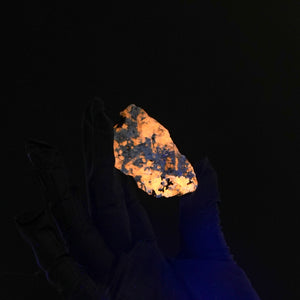 Sodalite var. Hackmanite