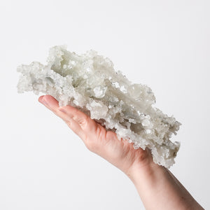 Gorgeous Apophyllite with Druzy Quartz