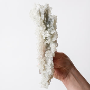 Gorgeous Apophyllite with Druzy Quartz