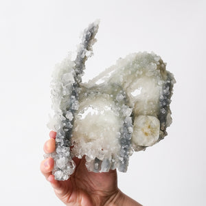 Apophyllite with Druzy Quartz