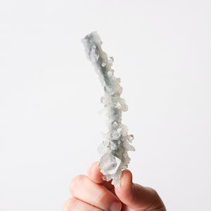 Stalactite Apophyllite