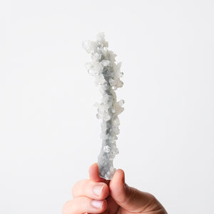 Stalactite Apophyllite