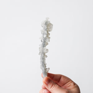 Stalactite Apophyllite