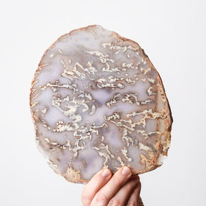 Plume Agate Slab