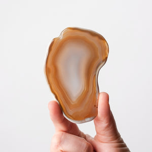 Polished Agate Slice
