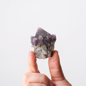 Fluorite Mini from New Mexico