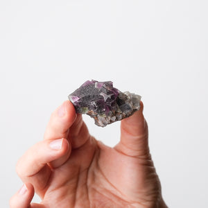 Fluorite Mini from New Mexico