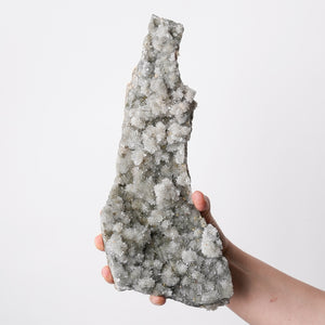 California Colemenite