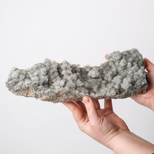 California Colemenite