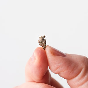 Elura Silver Mini {Rare}