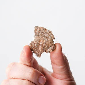 Opal var. Hyalite {Fluorescent}