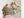 Druzy Garnierite with Chrysoprase