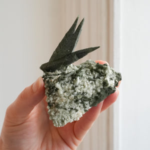 {Rare} Nepalese Quartz with Clinocore and Chlorite