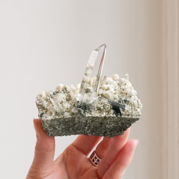 {Rare} Nepalese Quartz Point with Clinocore and Chlorite