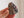 {Rare} Scalenohedral Rhodochrosite