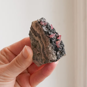 {Rare} Scalenohedral Rhodochrosite