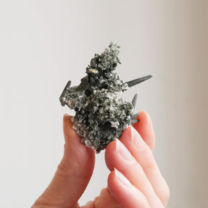 {Rare} Chlorite Quartz