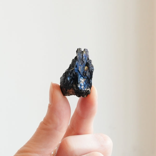{Rare} Colorado Covelite