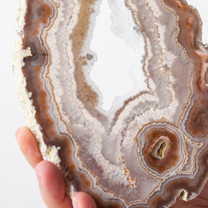Exquisite Agate Plates with Exposed Quartz