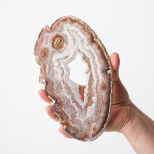 Exquisite Agate Plates with Exposed Quartz