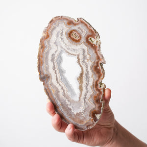 Exquisite Agate Plates with Exposed Quartz