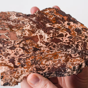Native Copper Plate on Matrix
