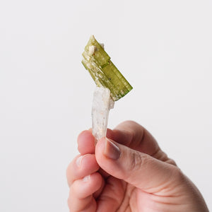 Vibrant Tourmaline on Quartz