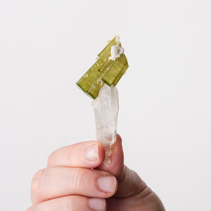 Vibrant Tourmaline on Quartz