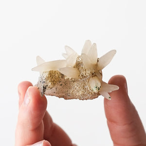 Dogtooth Calcite on Matrix