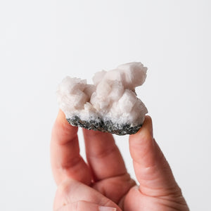 Mangano Calcite on Galena {Fluorescent}