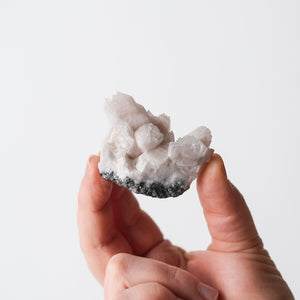 Mangano Calcite on Galena {Fluorescent}