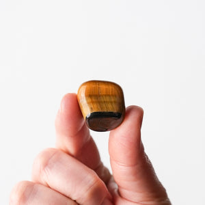 Tiger's Eye