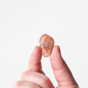 New Mexico Carnelian