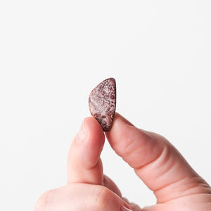 Apache Dendritic Rhyolites